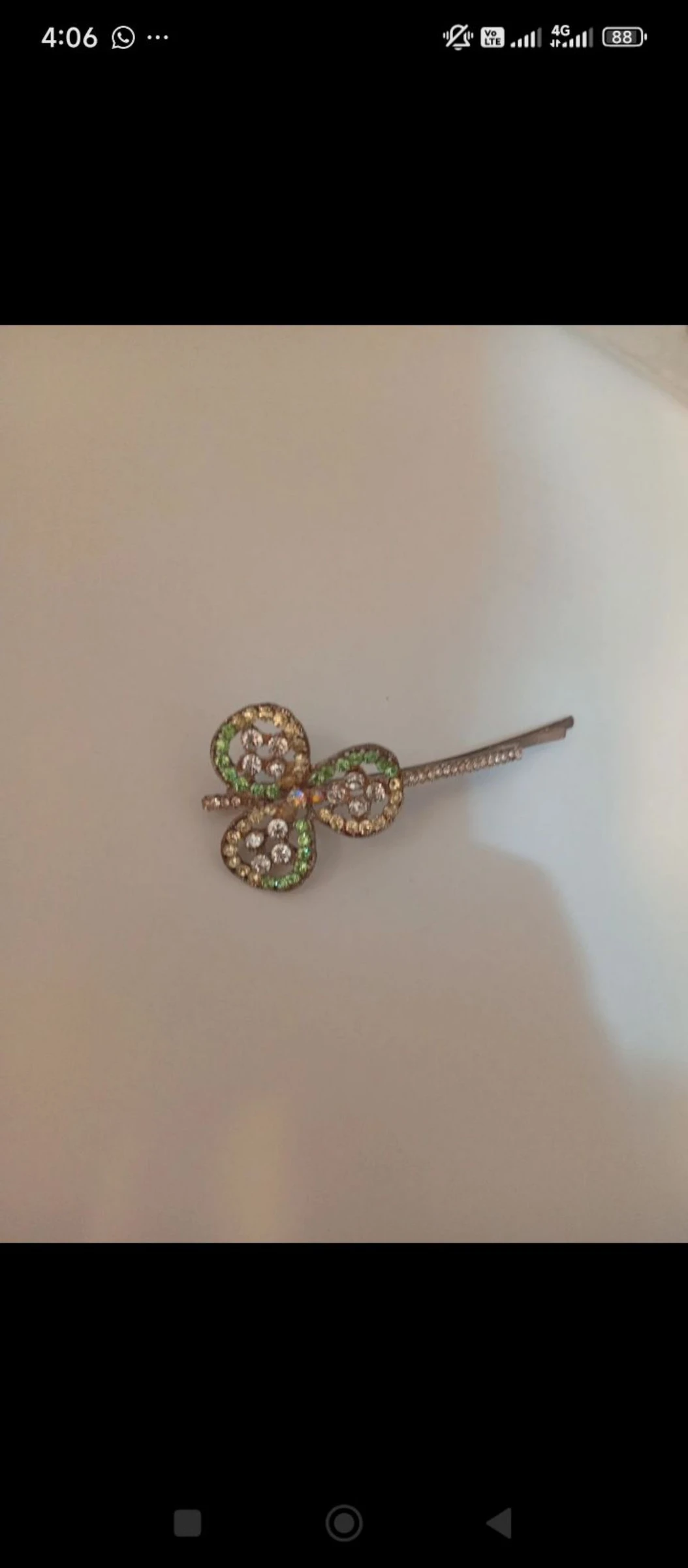 Pinza/adorno para pelo